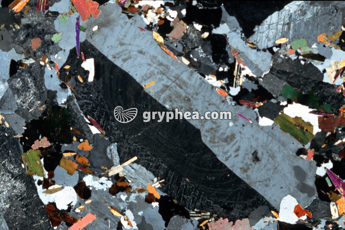 Feldspath orthose Granite des crêtes LPA x3,5 - gryphea.com